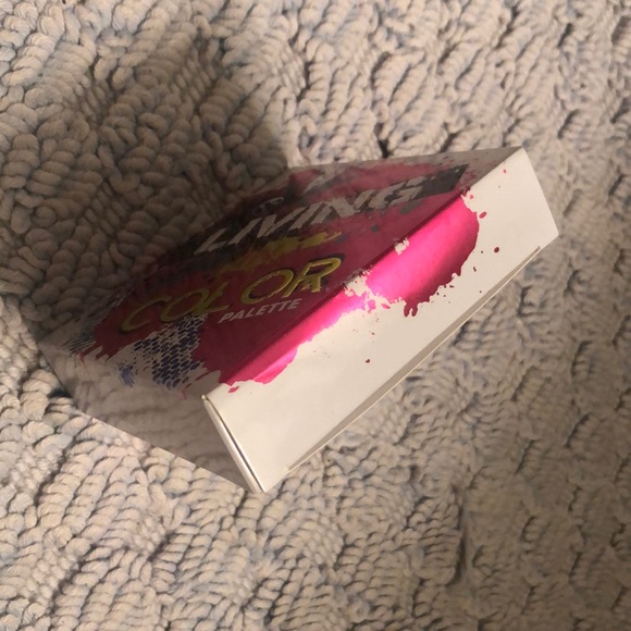 Eyeshadow Palette - “Living in Color” - Picture 10 of 10